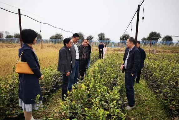 1604472716927984.png image.png