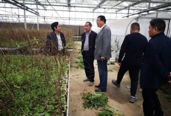 1604472732219839.png image.png