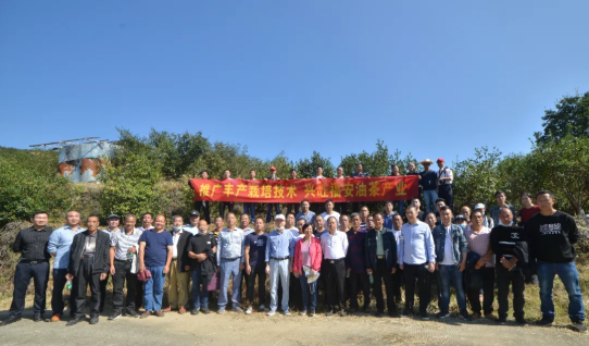 1604560994845562.png image.png