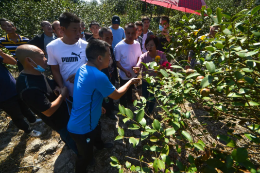 1604561002472761.png image.png