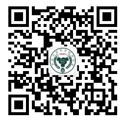 1605080555835610.png image.png