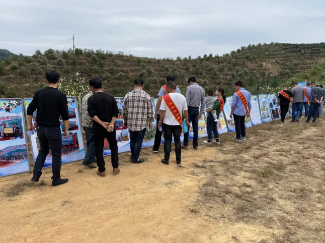 1605254623670503.png image.png