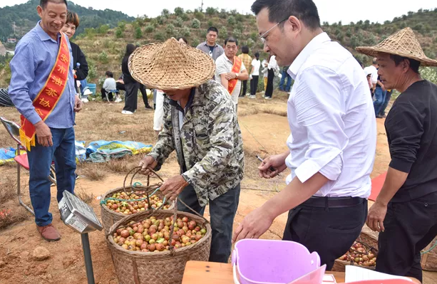 1605254643927909.png image.png