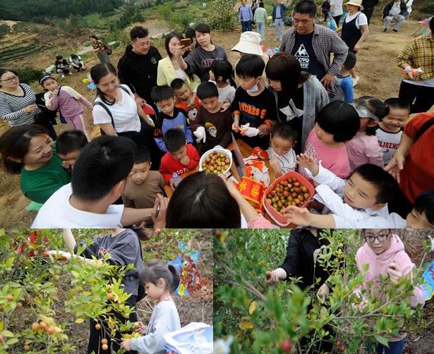 1605254647835659.png image.png