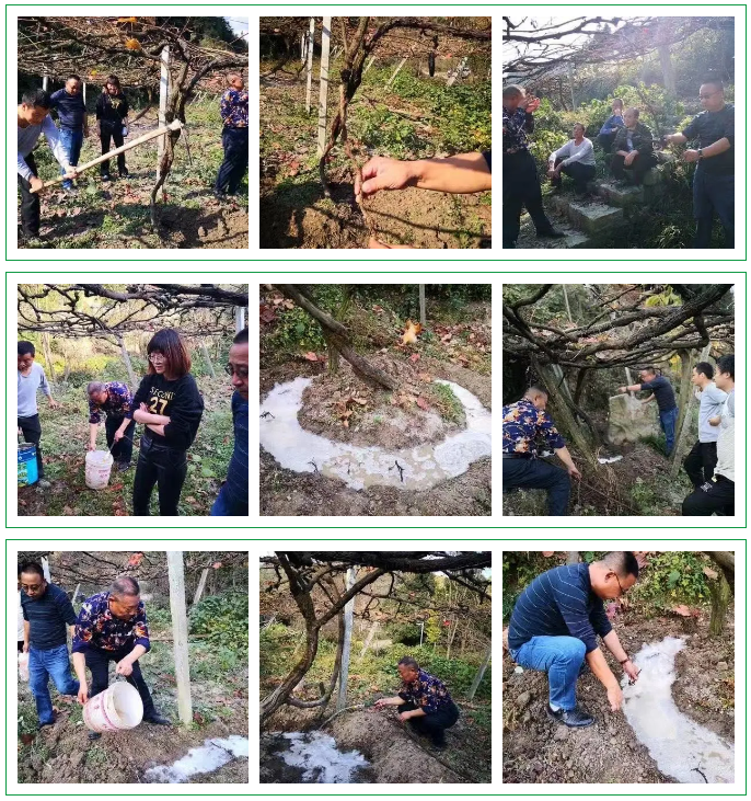 1606383439212970.png image.png