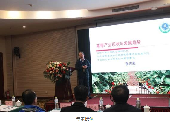 1608806376835990.png image.png