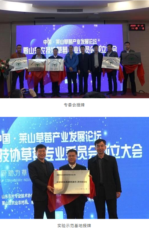 1608806437847714.png image.png