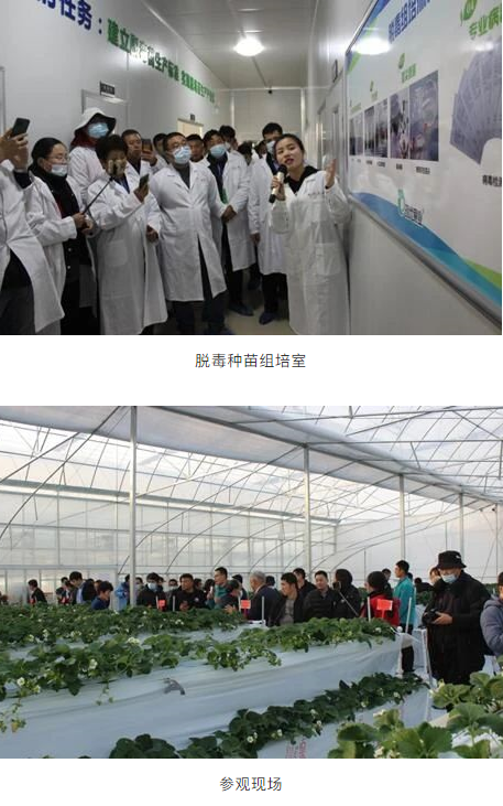 1608806459605064.png image.png