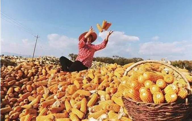 1585630564879321.png image.png