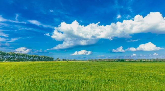 1585630585437645.png image.png