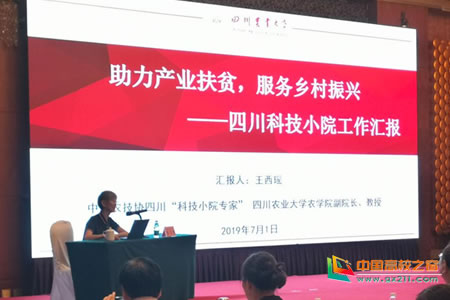 1562227000809427.jpg 201907043087.jpg