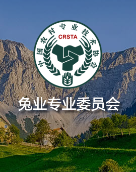 张自强