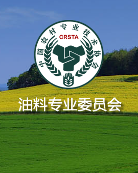 何庆彪