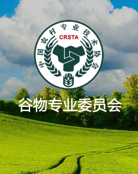 何一哲