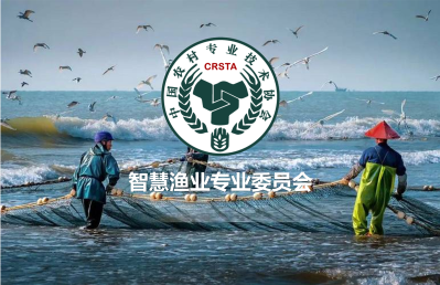 查海涅