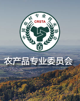 张五英