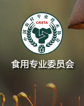 张  妍