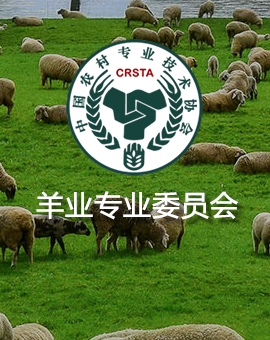于  坤