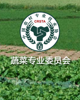 温常龙
