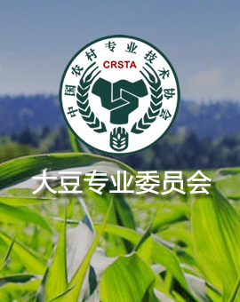 李  斌