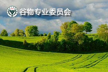 谷物专业委员会